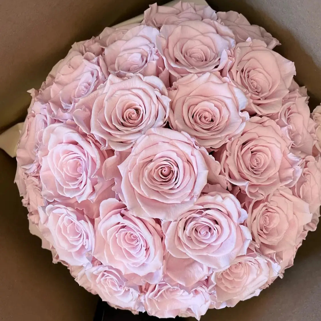 Large pot of preserved pale pink roses – real roses that last for years