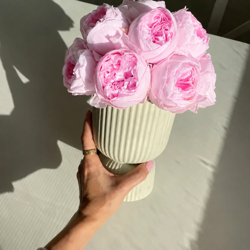 A hand holds a ribbed ceramic vase filled with light pink peony flowers against a sunlit white surface.