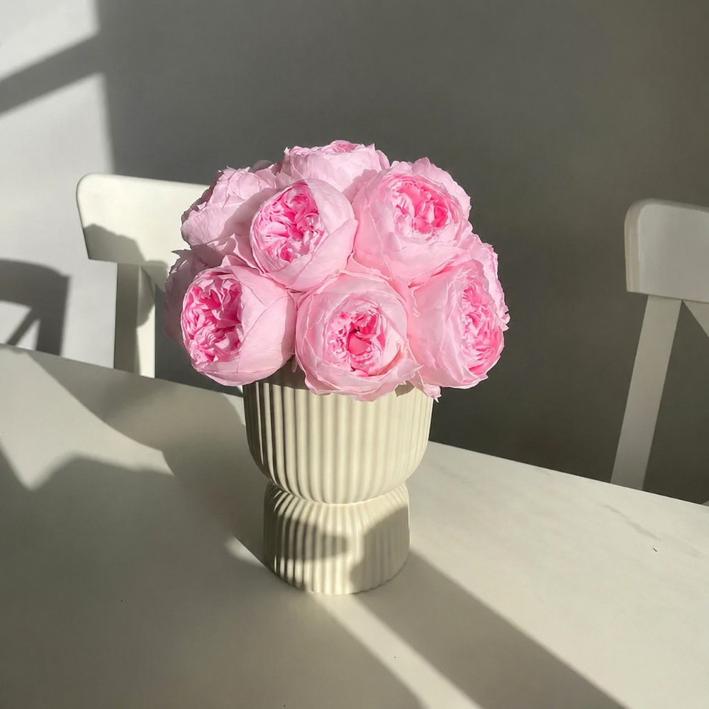 A bouquet of light pink peony-like flowers arranged in a ribbed off-white ceramic vase on a white table, with soft window shadows cast across the scene.