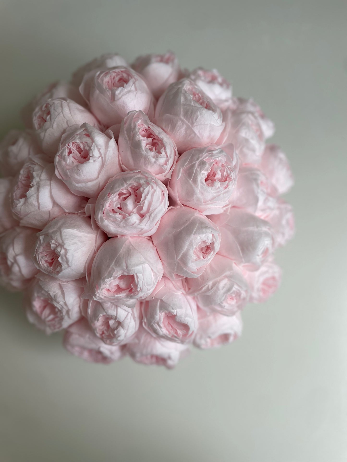 Preserved Pink Peonies in Round Box