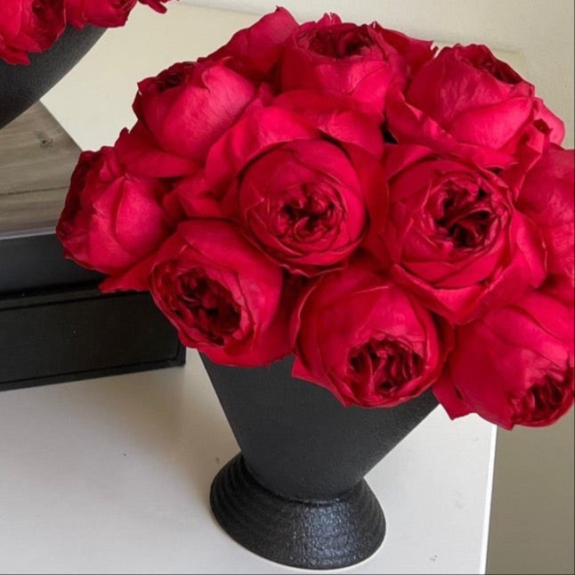 Red everlasting peonies in black pot