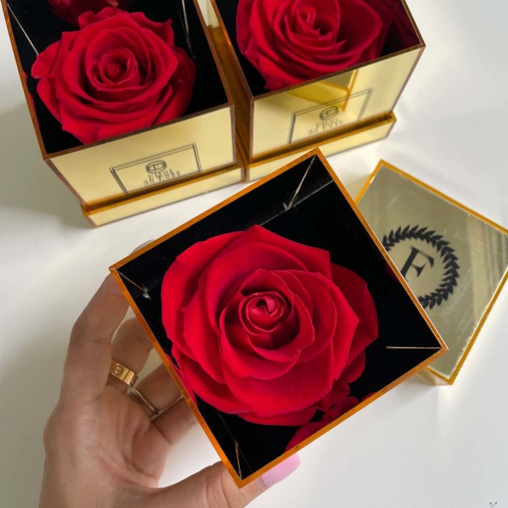 ACRYLIC GOLD BOX: Red Everlasting Rose - Flowers