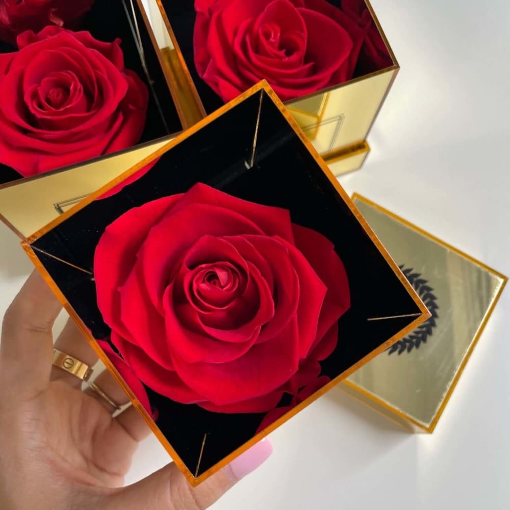 ACRYLIC GOLD BOX: Red Everlasting Rose - Flowers