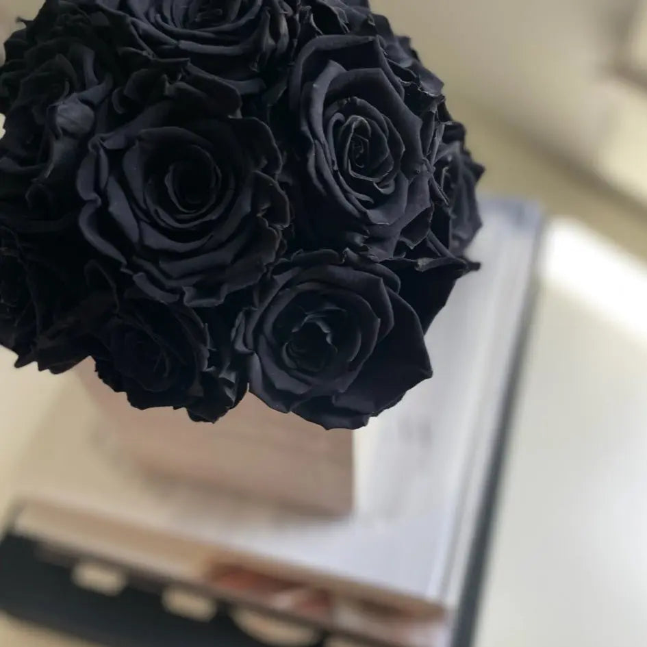 CEMENT POT: Black Everlasting Roses - Fleur Du Luxe