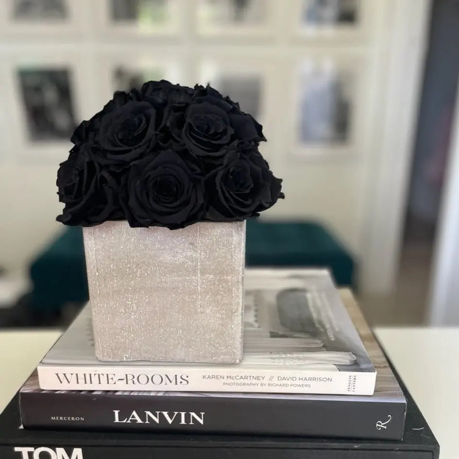 CEMENT POT: Black Everlasting Roses - Fleur Du Luxe