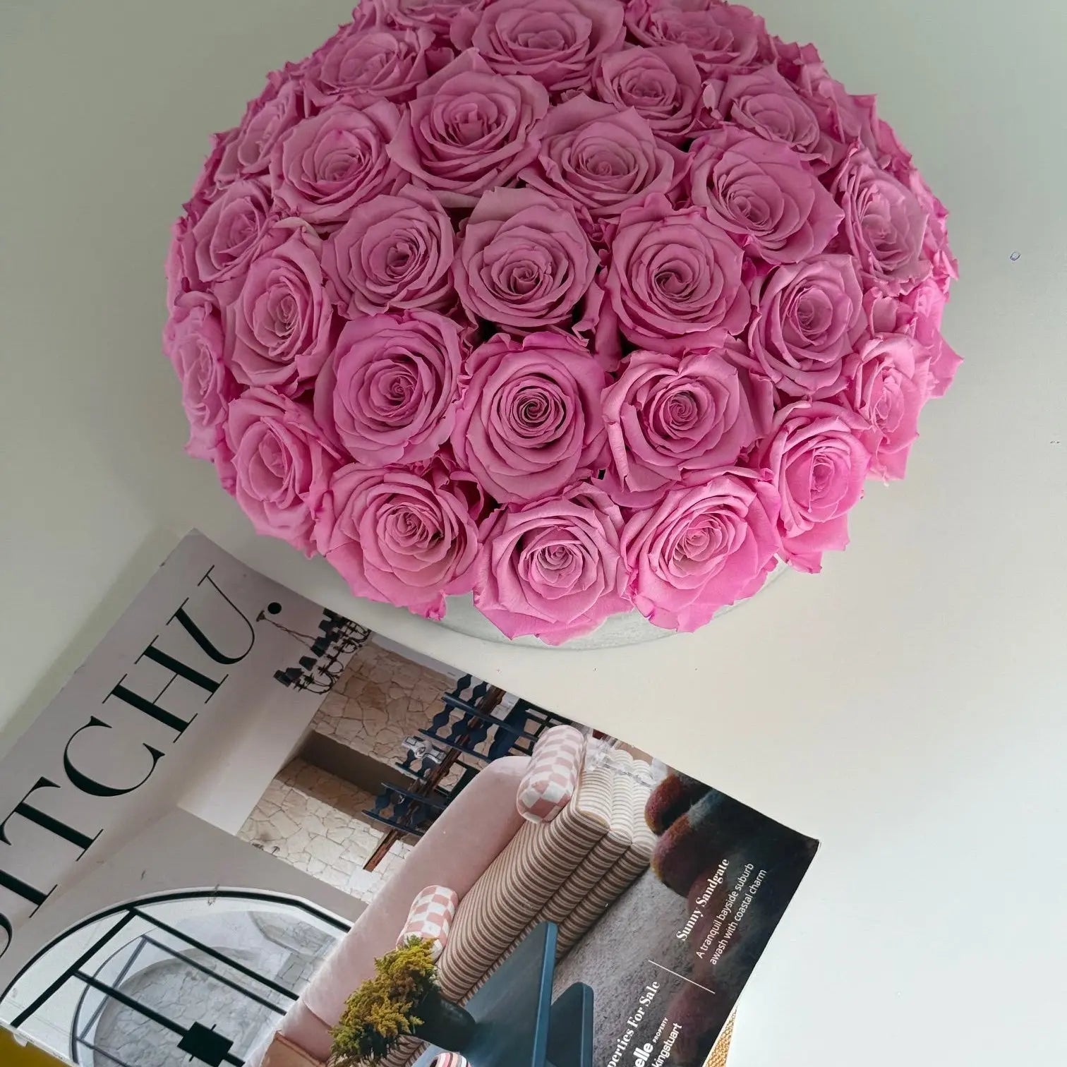 CEMENT POT: Everlasting New York Pink Bi - colour Roses - Fleur Du Luxe