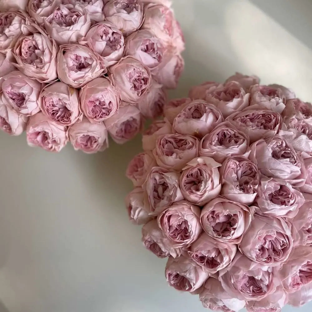 CEMENT POT: Everlasting Peonies - Fleur Du Luxe