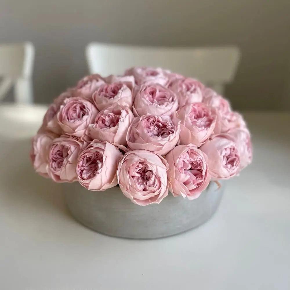 CEMENT POT: Everlasting Peonies - Fleur Du Luxe