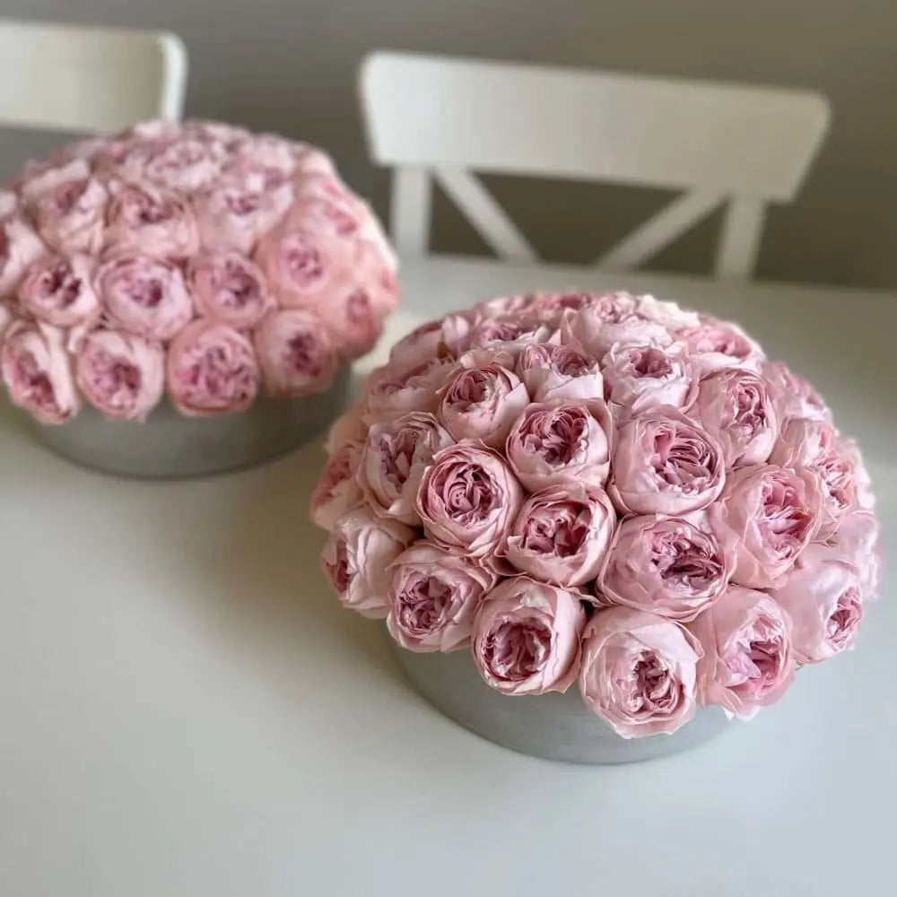 CEMENT POT: Everlasting Peonies - Fleur Du Luxe