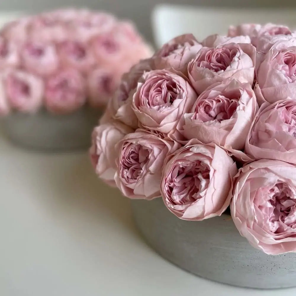 CEMENT POT: Everlasting Peonies - Fleur Du Luxe