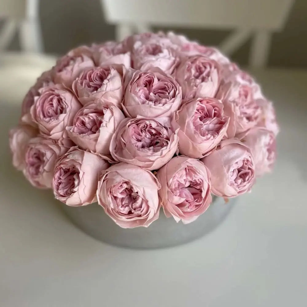 CEMENT POT: Everlasting Peonies - Fleur Du Luxe