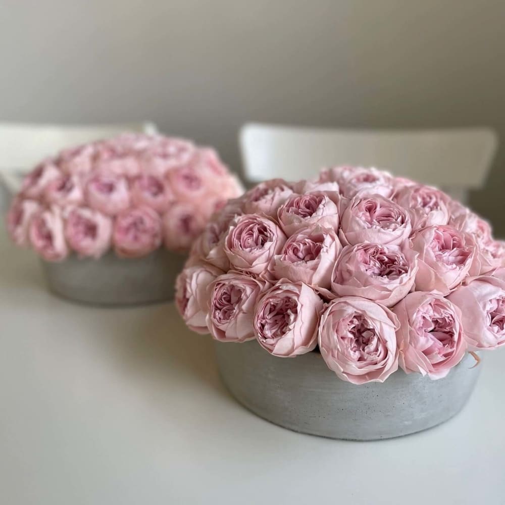 CEMENT POT: Everlasting Peonies - Flowers