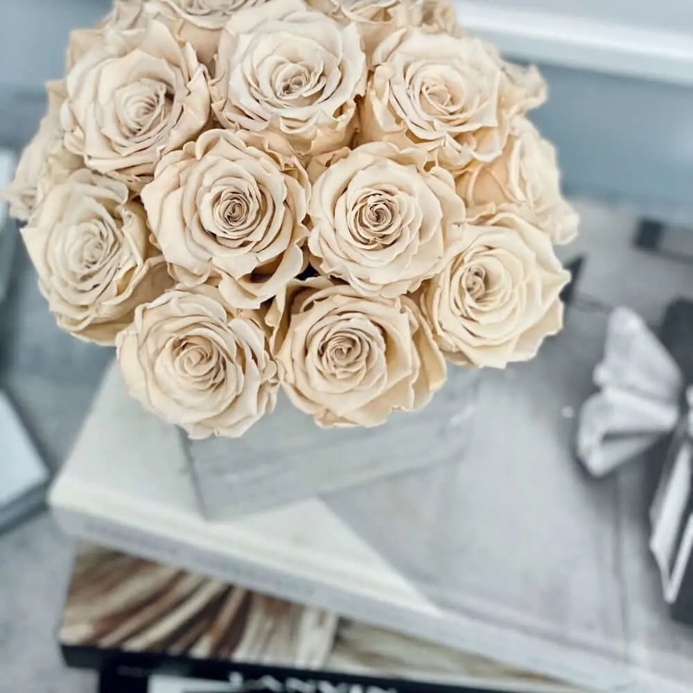 CEMENT POT: Everlasting Roses - Fleur Du Luxe