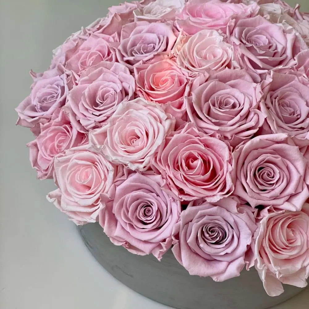 CEMENT POT: Everlasting Roses - Fleur Du Luxe