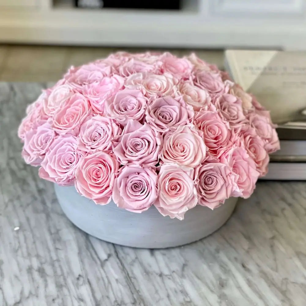 CEMENT POT: Everlasting Roses - Fleur Du Luxe