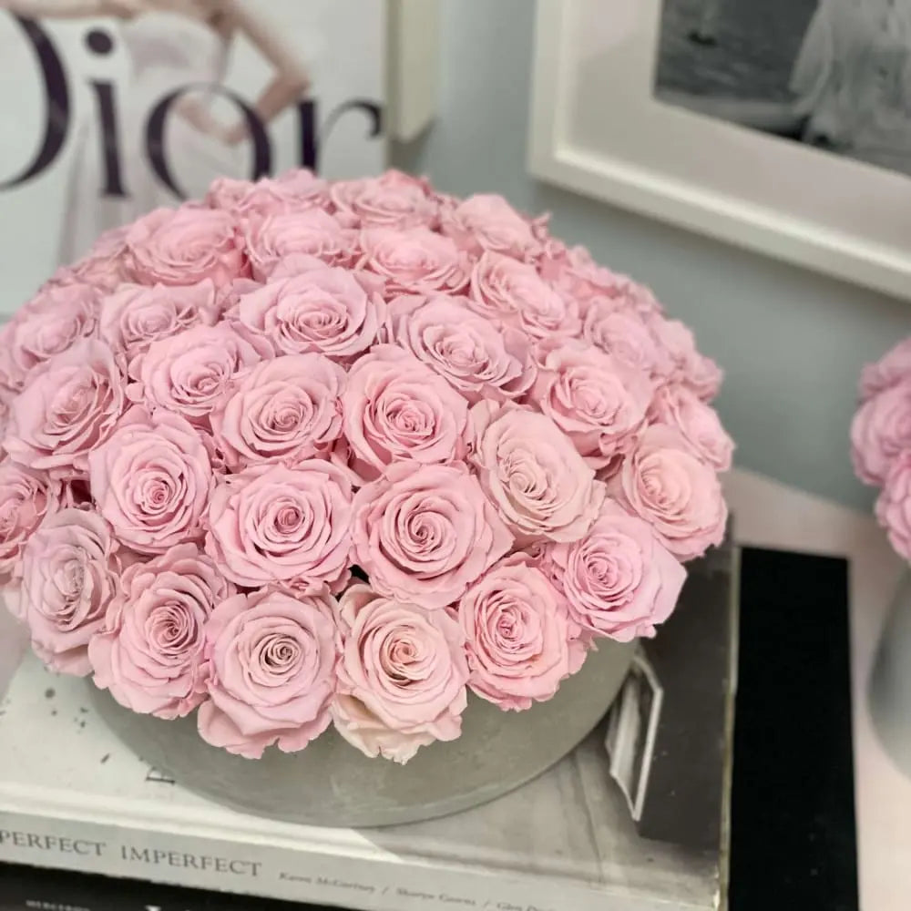 CEMENT POT: Everlasting Roses - Fleur Du Luxe