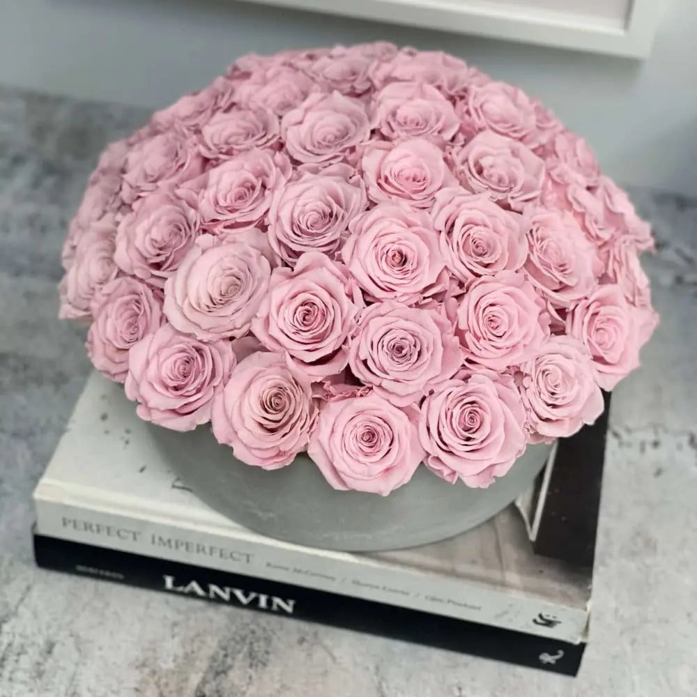 CEMENT POT: Everlasting Roses - Fleur Du Luxe