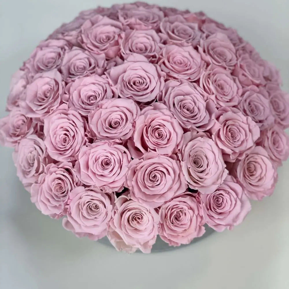 CEMENT POT: Everlasting Roses - Fleur Du Luxe