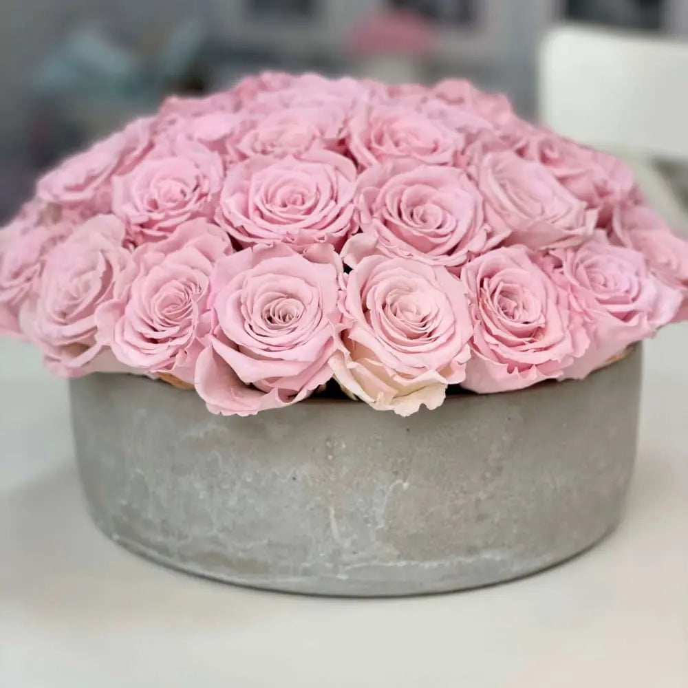 CEMENT POT: Everlasting Roses - Fleur Du Luxe