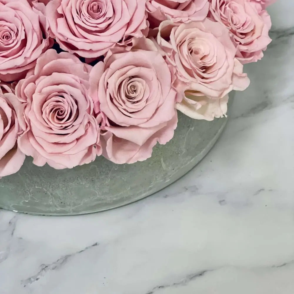 CEMENT POT: Everlasting Roses - Fleur Du Luxe
