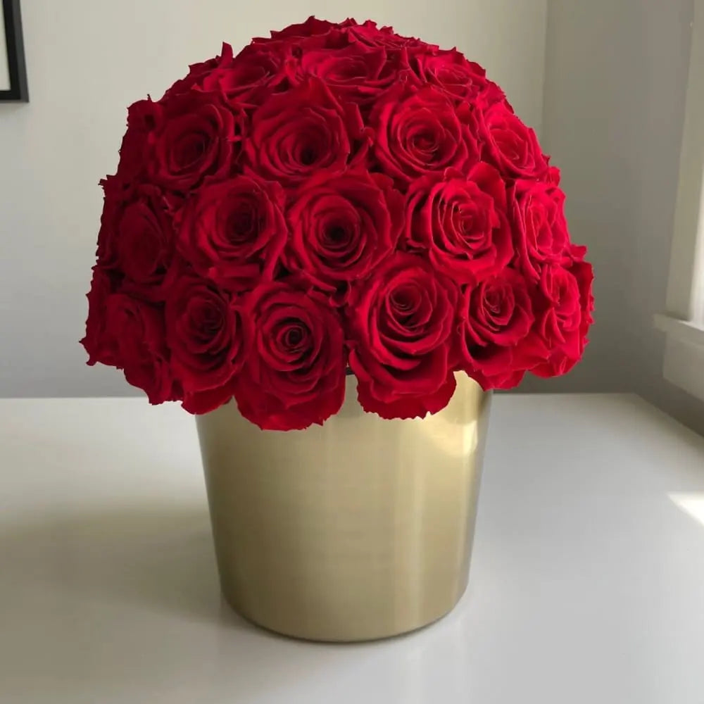 Everlasting Roses in a Dome |Gold Stainless Steel - Fleur Du Luxe
