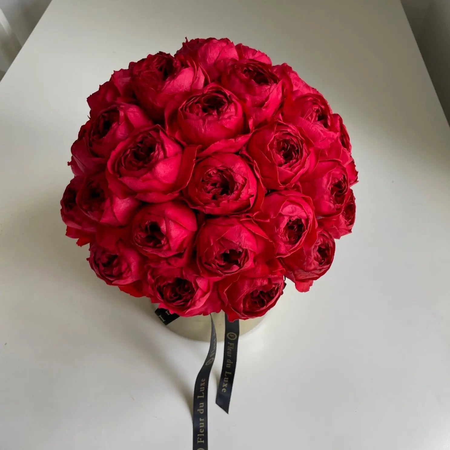 red everlasting peonies