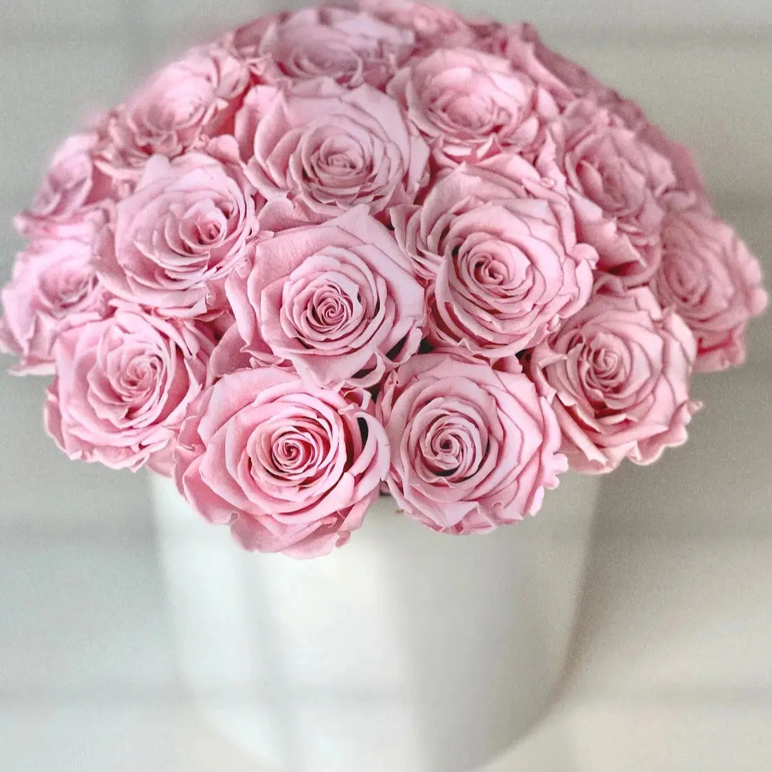 Matte white stainless steel pot filled with preserved pale pink roses