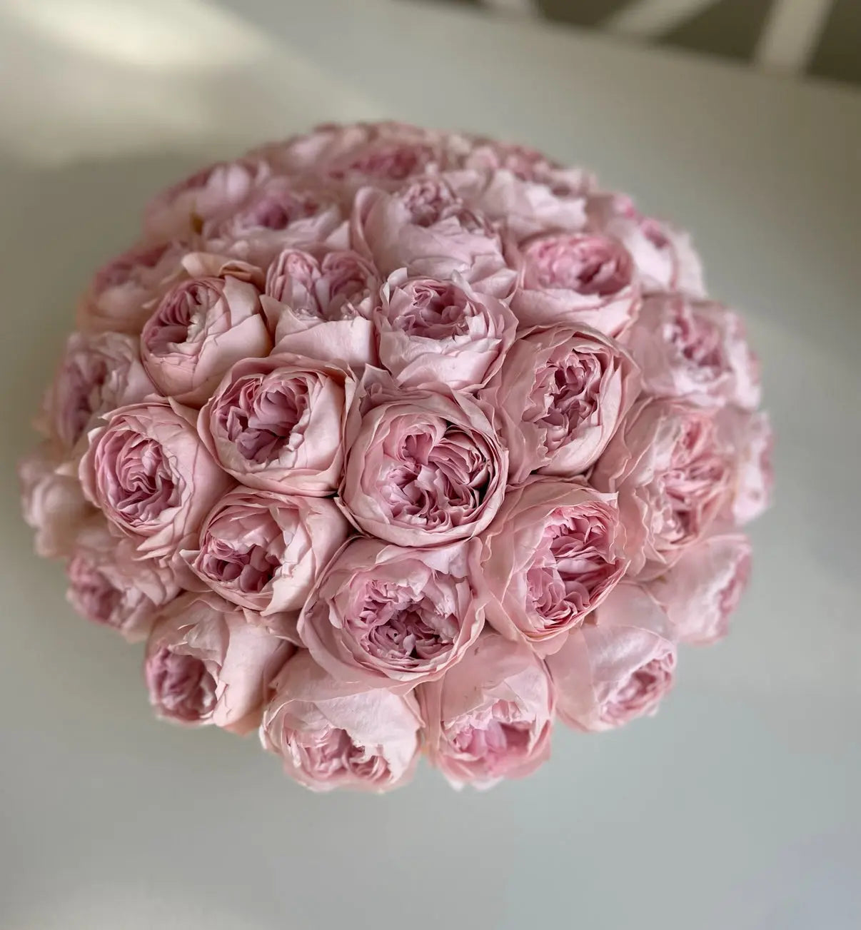 pink everlasting peonies in a gold pot
