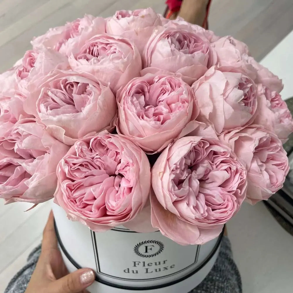 Preserved Pink Peonies in Round Box - Fleur Du Luxe