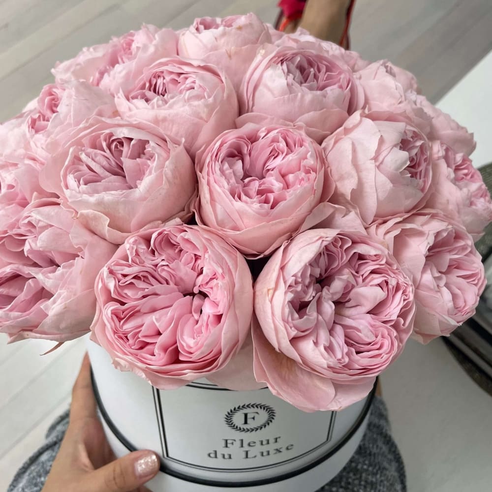 Preserved Pink Peonies in Round Box - Flowers