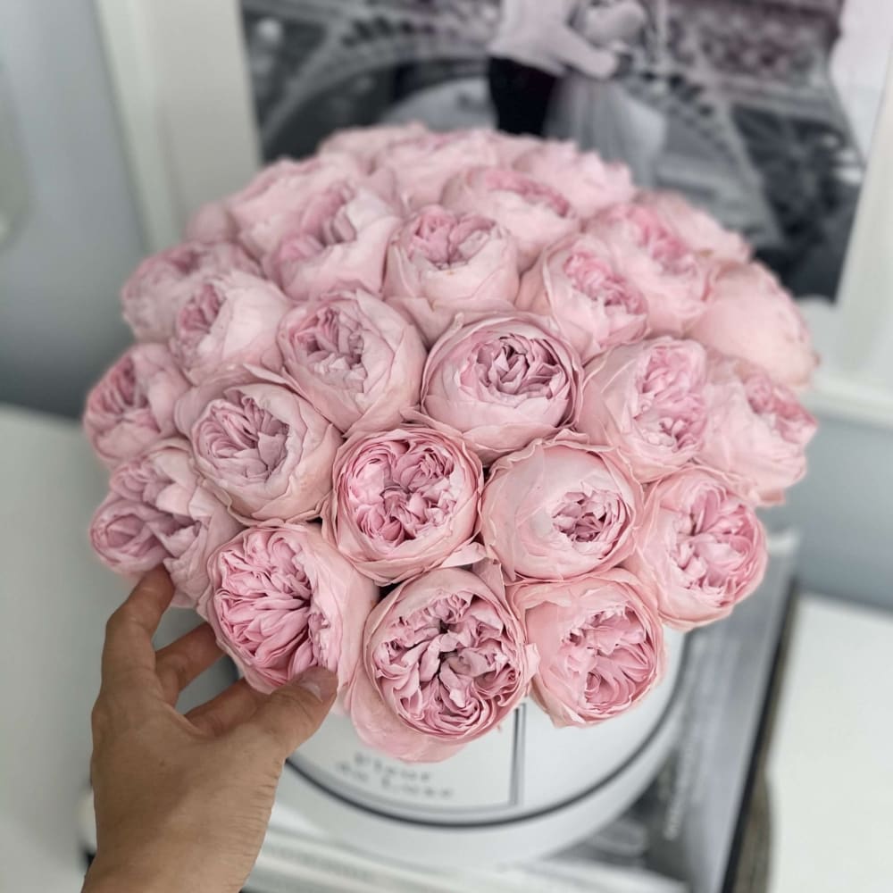 Preserved Pink Peonies in Round Box - Flowers