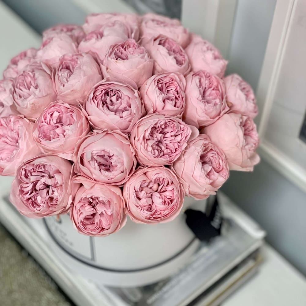 Preserved Pink Peonies in Round Box - Flowers