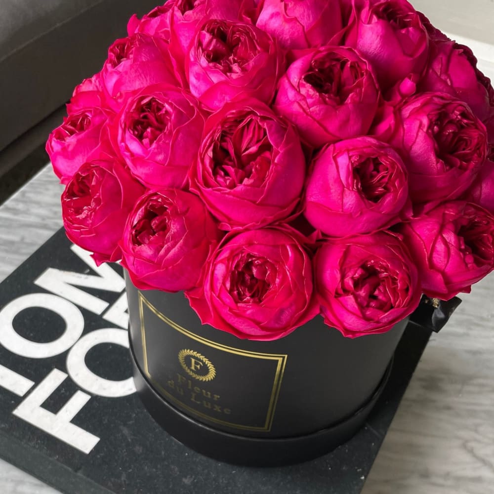 Preserved Raspberry Pink Peonies - 3 Year Lasting! - Black -