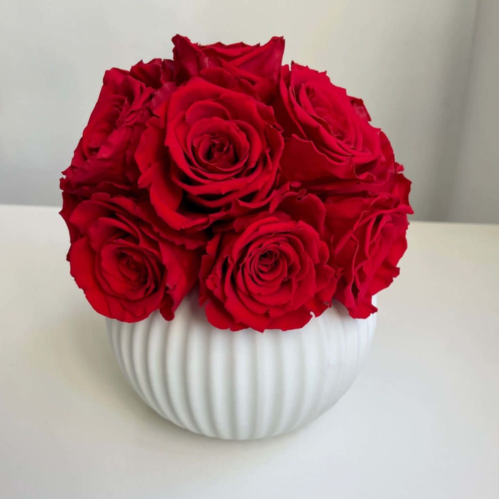 RIBBED POT: Everlasting Roses - White Round - Flowers