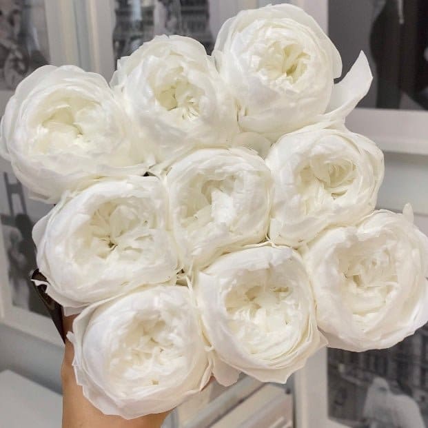 SQUARE BOX: White Peonies - Flowers
