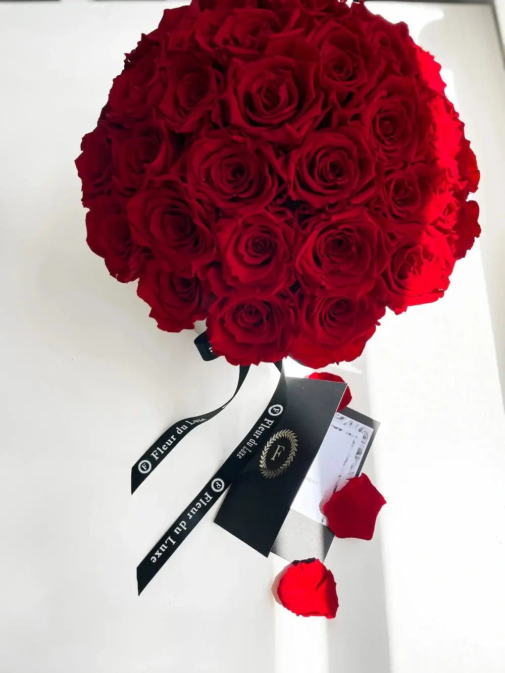 red everlasting roses Sydney same day flower delivery