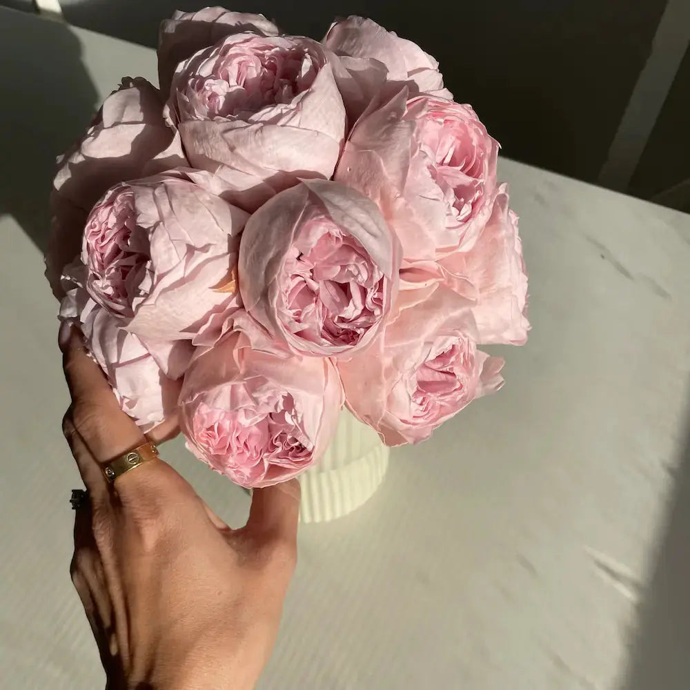 Bouquet of pink roses held by a hand on a light background