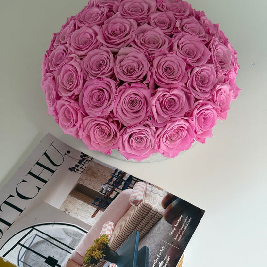 Everlasting roses in cement pot styled with magazines on white table.