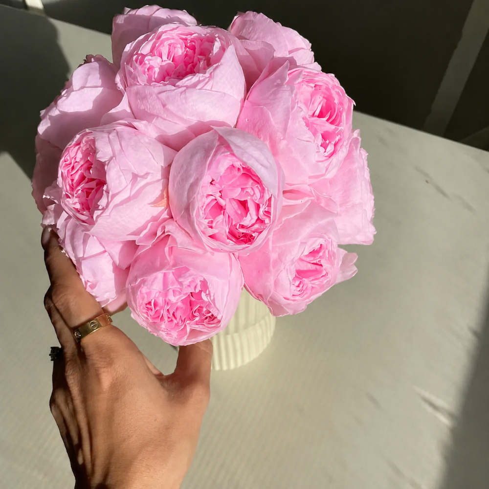 A hand holding a bouquet of fresh pink peonies in a white ribbed vase, set against a neutral light gray background with natural sunlight casting soft shadows.