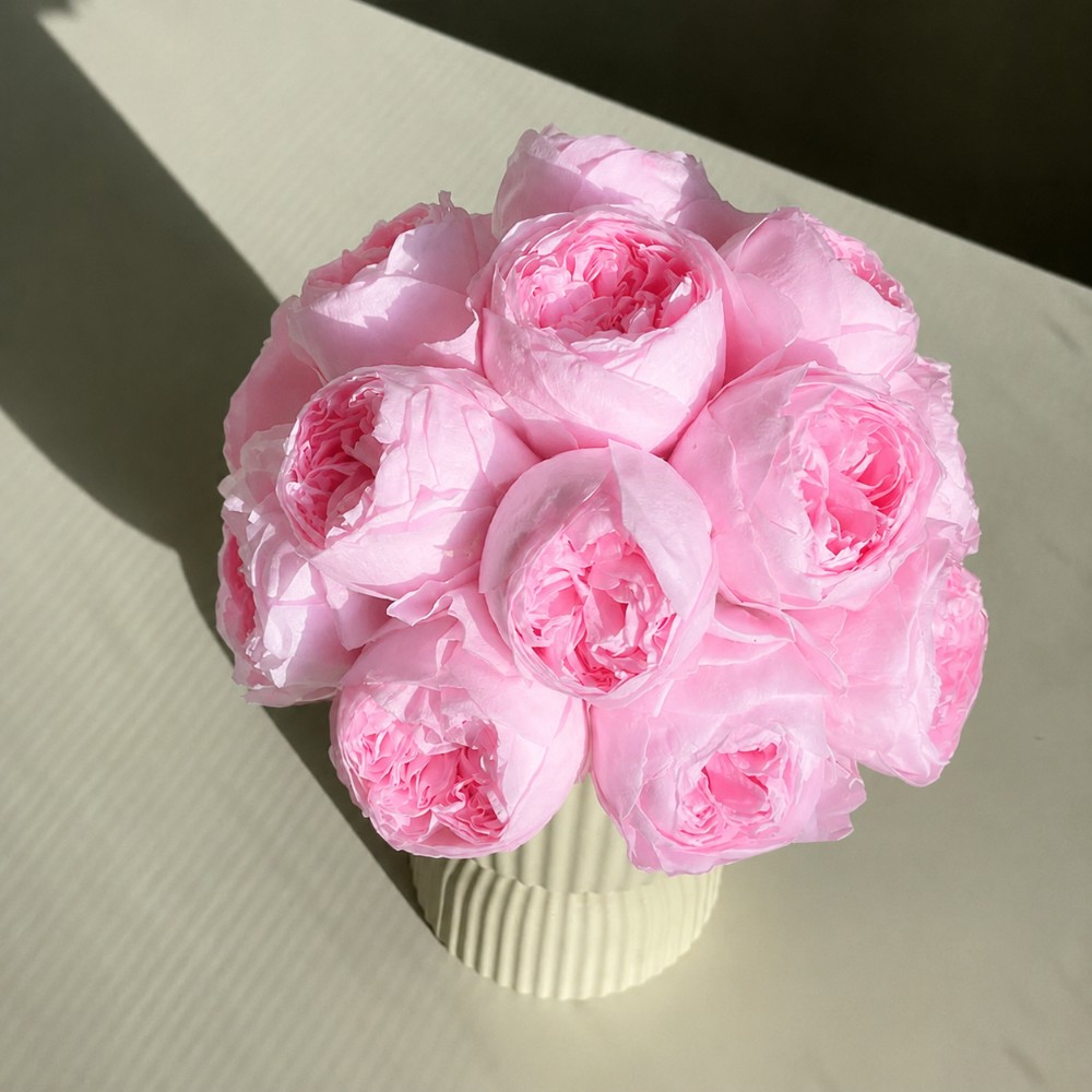 A bouquet of light pink peony-like flowers arranged in a ribbed off-white vase, photographed on a light beige surface with strong sunlight and shadows.
