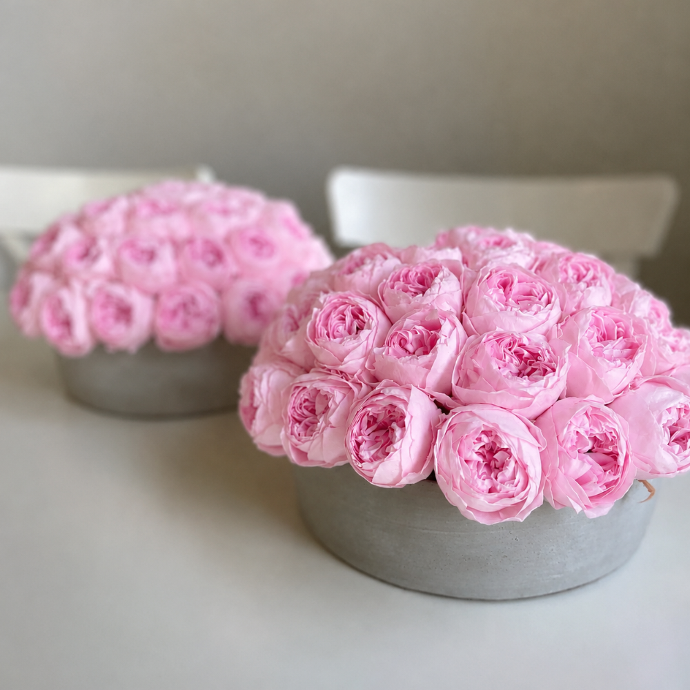 Two round gray flower boxes filled with pink roses, arranged on a light tabletop with a soft neutral background.