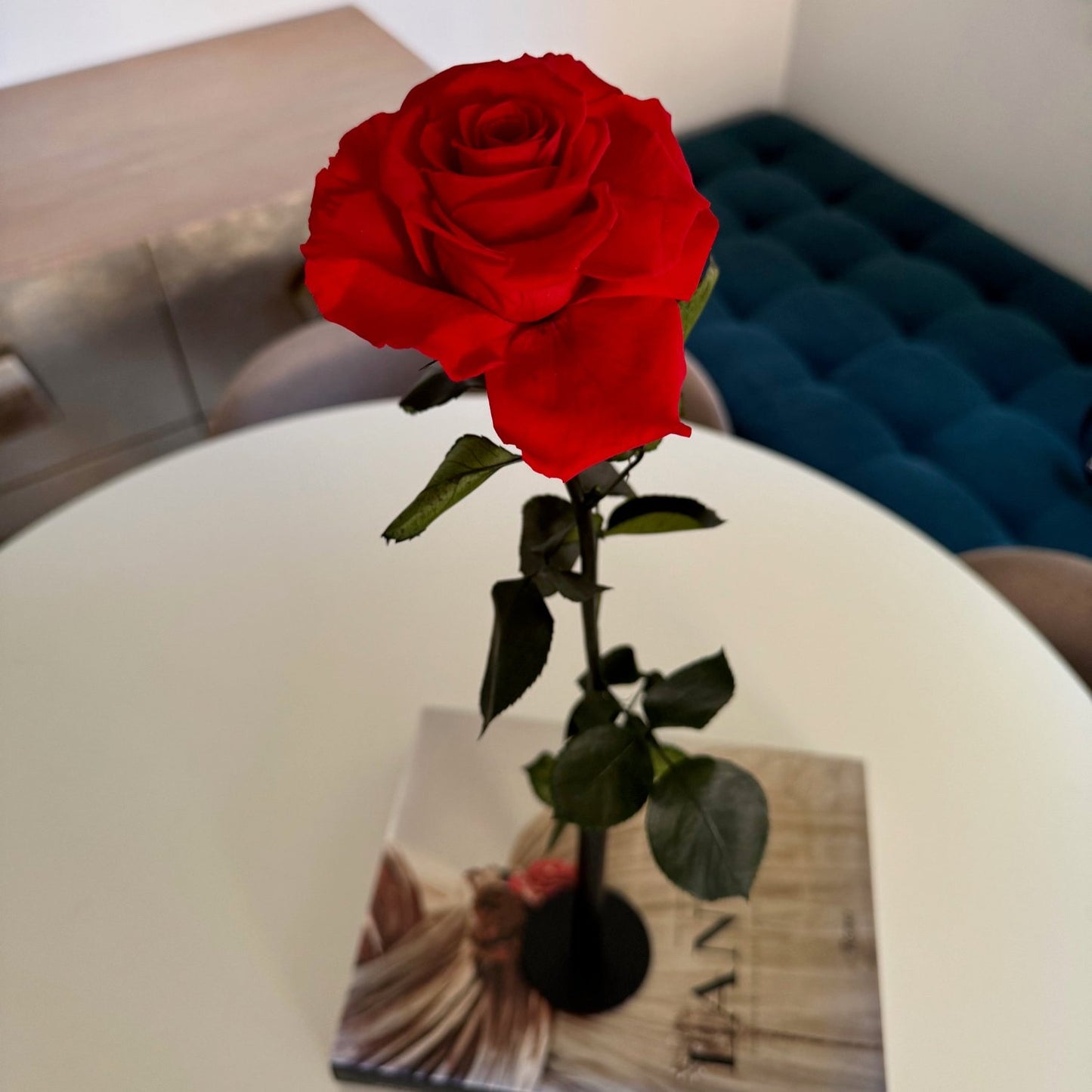 "Close-up view of a preserved long-stemmed red rose with intricate petal details and rich red hue."