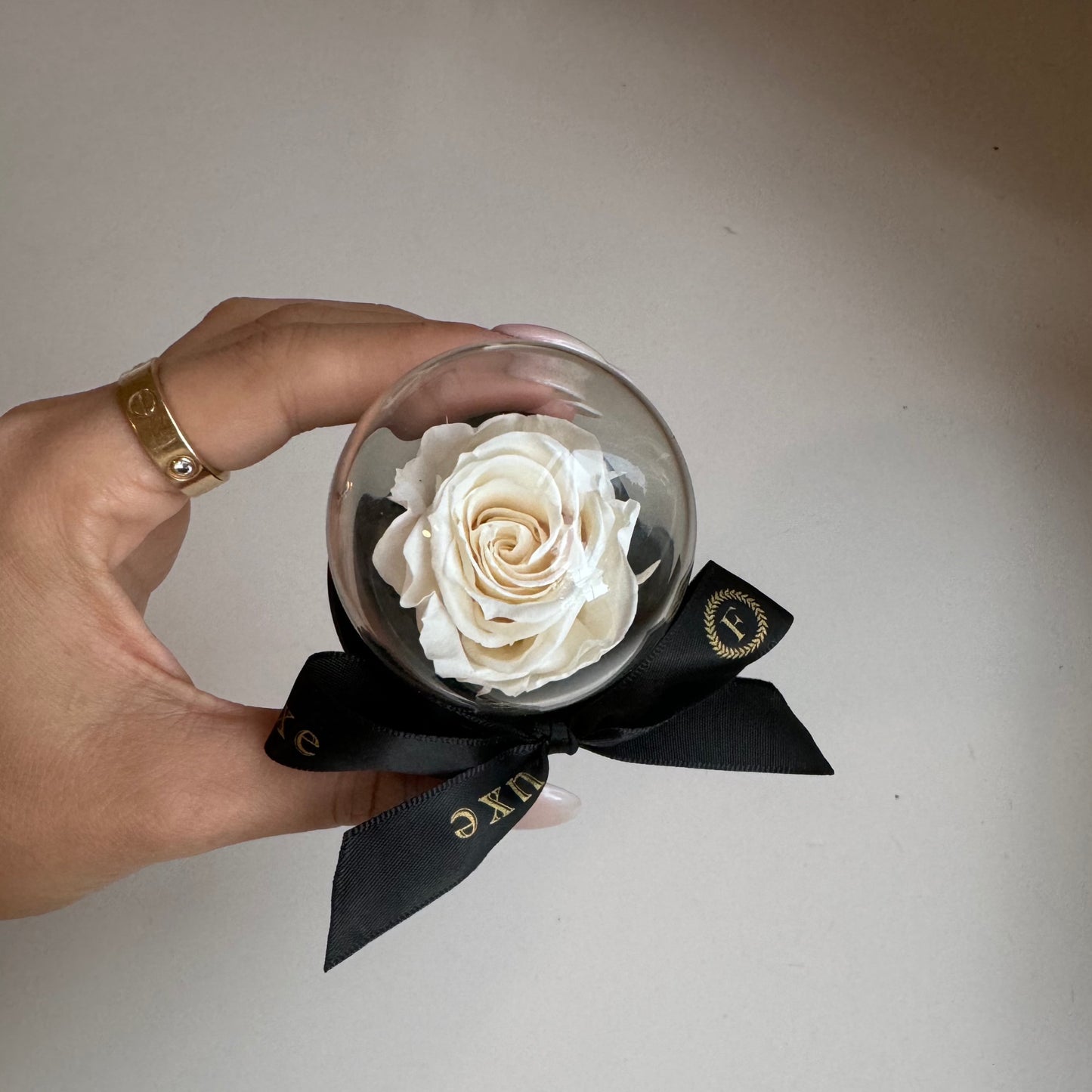 Beauty and the beast glass dome rose mini everlasting white rose 
