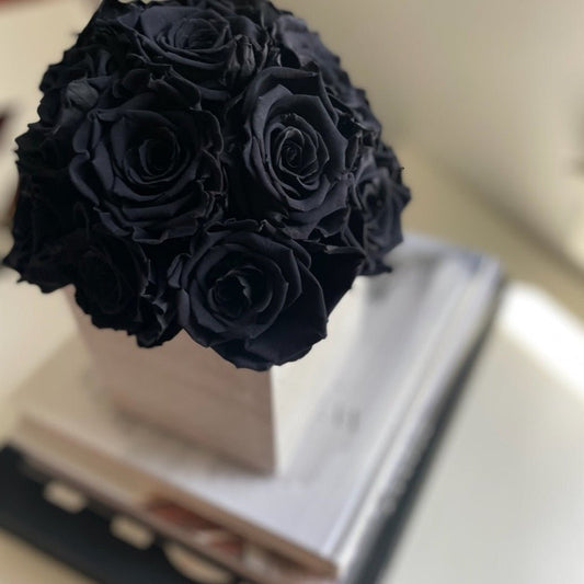 CEMENT POT: Black Everlasting Roses - Fleur Du Luxe