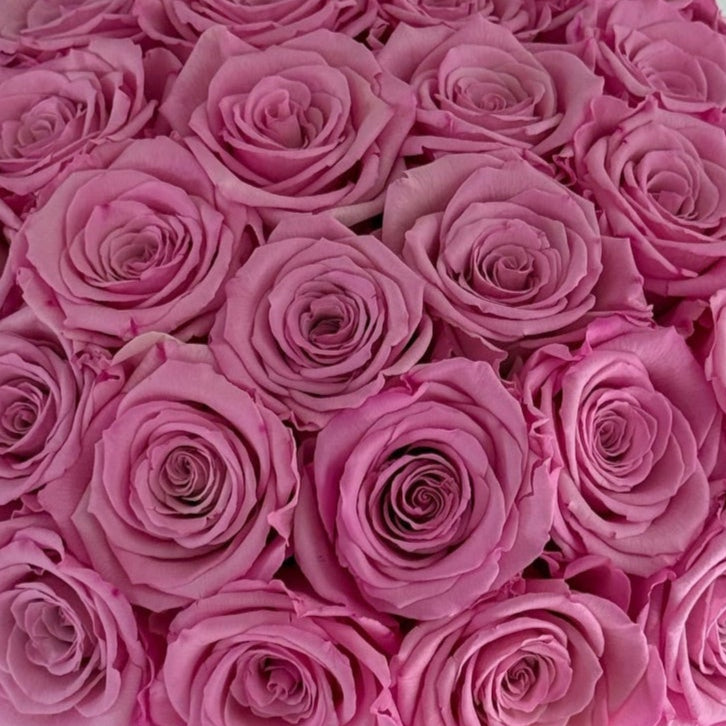 CEMENT POT: Everlasting New York Pink Bi - colour Roses - Fleur Du Luxe