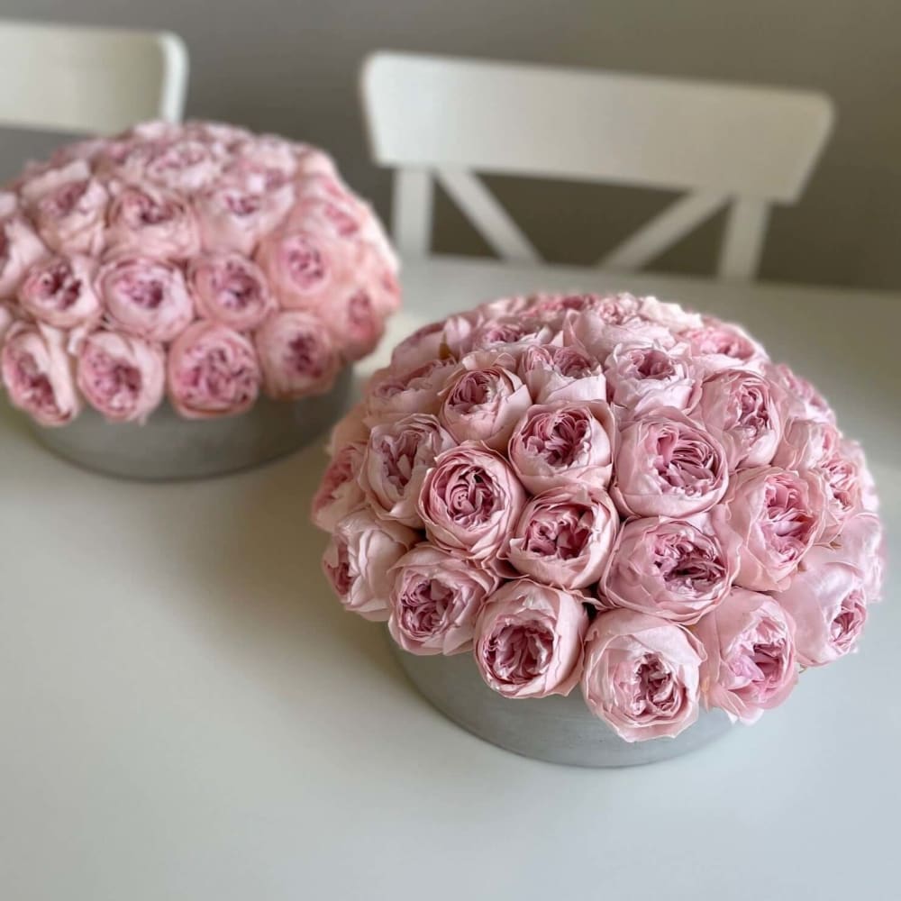 CEMENT POT: Everlasting Peonies - Fleur Du Luxe