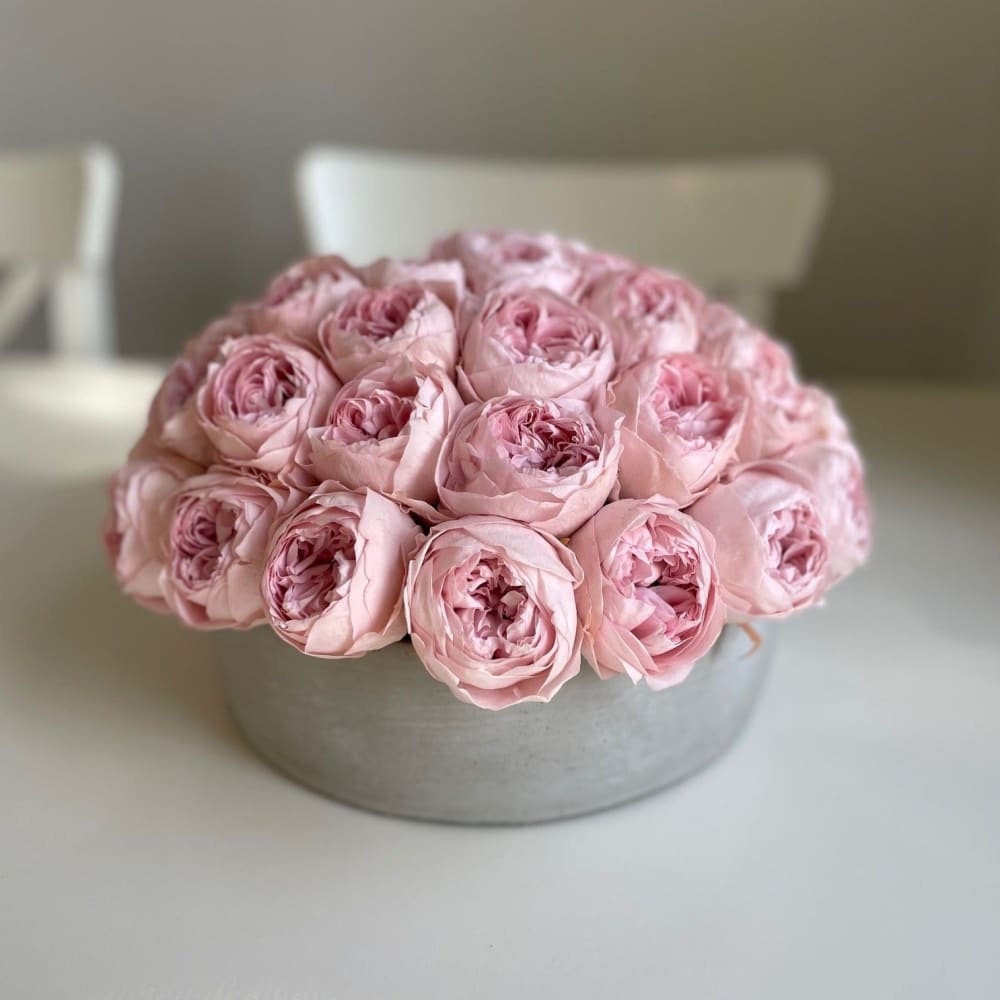 CEMENT POT: Everlasting Peonies - Flowers