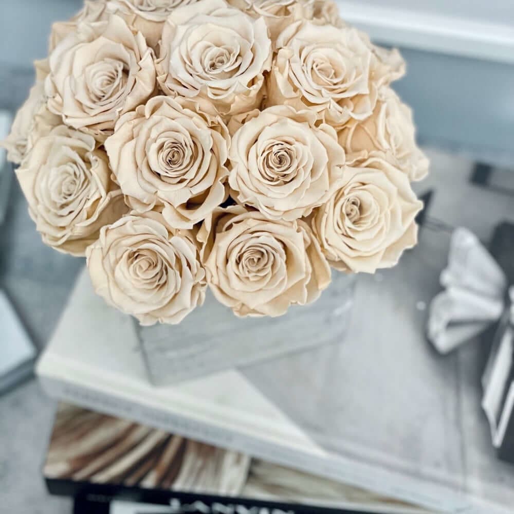 CEMENT POT: Everlasting Roses - Fleur Du Luxe