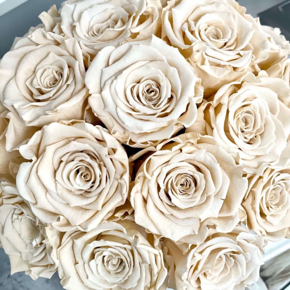 CEMENT POT: Everlasting Roses - Fleur Du Luxe
