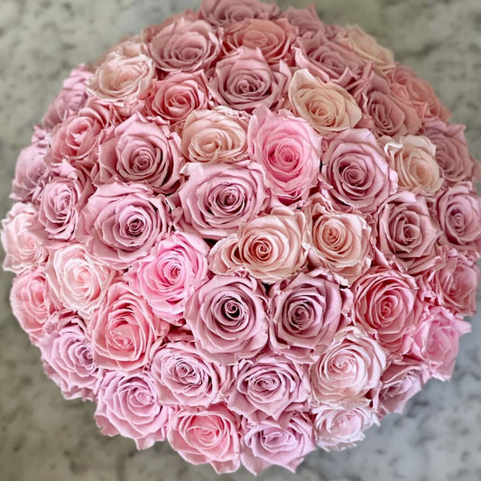 CEMENT POT: Everlasting Roses - Fleur Du Luxe